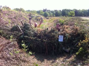 A completed dead hedge