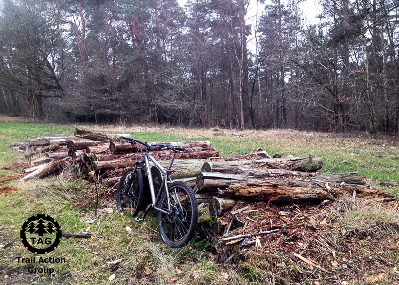 SBrown-20190129-0001