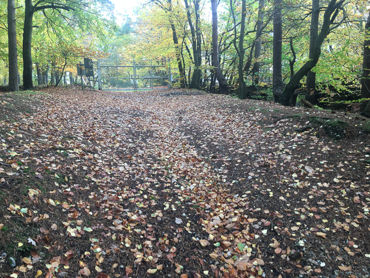 Stopped On The Lands – Guidance On What To&nbsp;Do