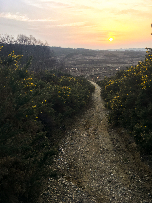 Denied Access – Fencing and DIO