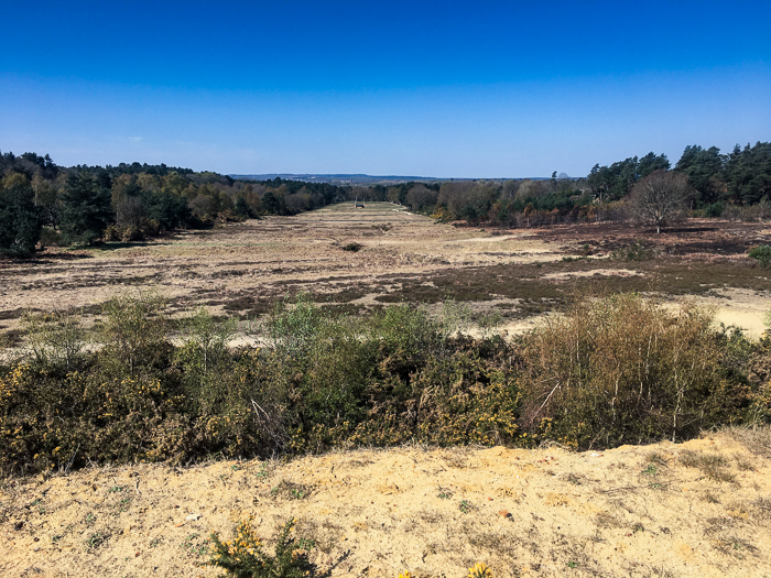 Nothing To See Part III