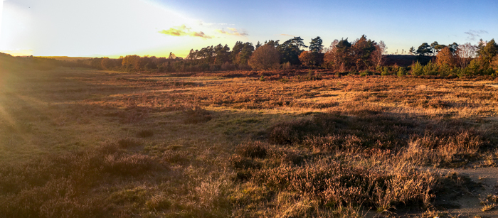 Kind Words… But No Action